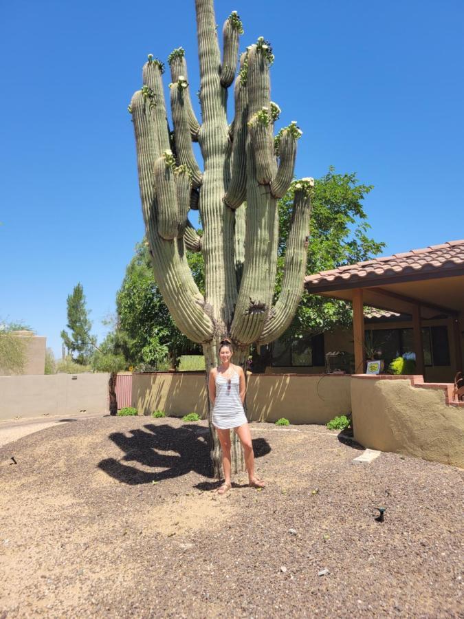Apartamento Private, Quite Casita , N. Scottsdale Area,Private Pool & Patio, Cave Creek Az. Exterior foto