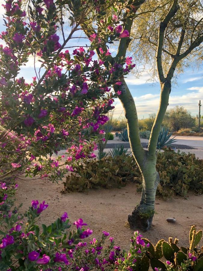 Apartamento Private, Quite Casita , N. Scottsdale Area,Private Pool & Patio, Cave Creek Az. Exterior foto